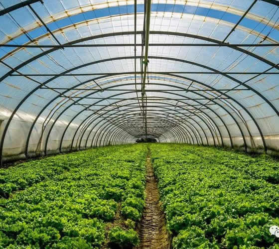 光穩(wěn)定劑622行業(yè)標準——護航您的健康與安全